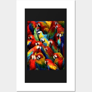 Parrots Posters and Art